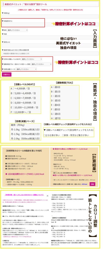 美筋式ダイエット│“瘦せる数字”設計ツール画面(摂取カロリー計算)