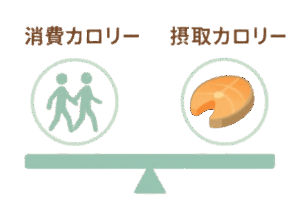 筋肉をつけながら体脂肪を落とす消費カロリーと摂取カロリーのバランス
