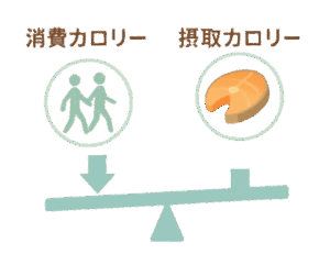 筋肉をつけながら体脂肪を落とす消費カロリーと摂取カロリーのバランス