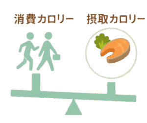 筋肉をつけながら体脂肪を落とす消費カロリーと摂取カロリーのバランス