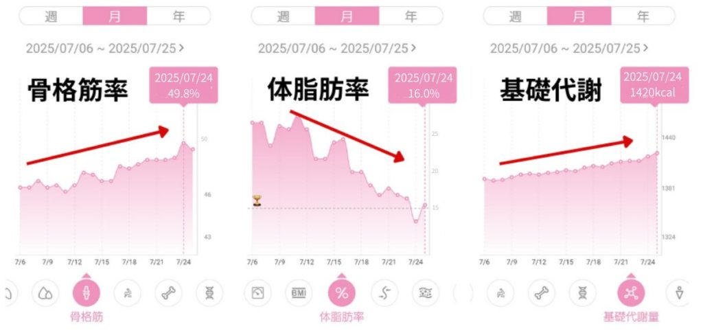 美筋式ダイエット・骨格筋・体脂肪率・基礎代謝データ